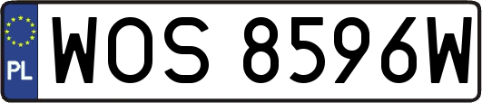 WOS8596W
