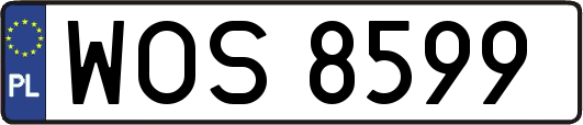 WOS8599