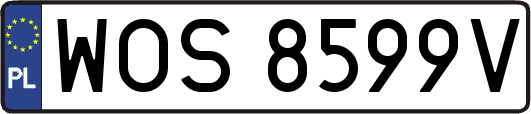 WOS8599V