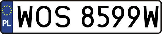 WOS8599W