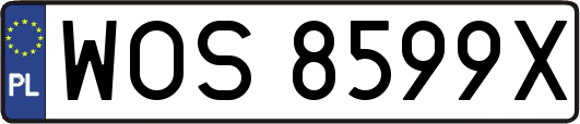 WOS8599X