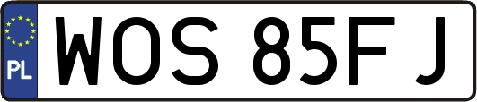 WOS85FJ