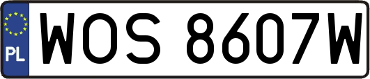 WOS8607W