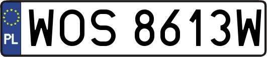 WOS8613W