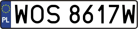 WOS8617W