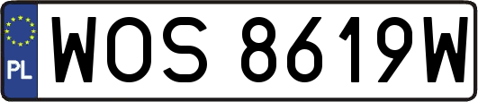 WOS8619W