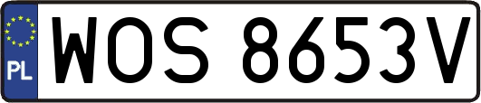WOS8653V