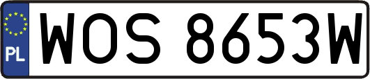 WOS8653W