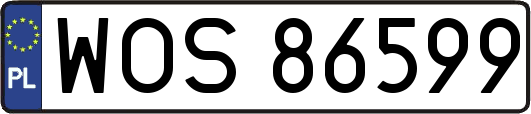 WOS86599