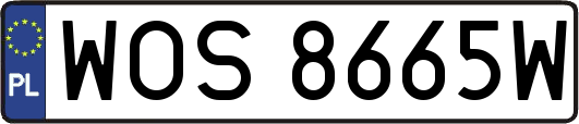 WOS8665W