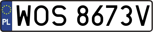 WOS8673V