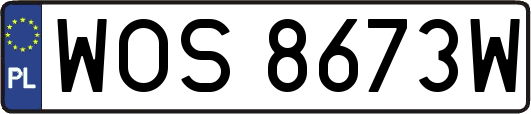 WOS8673W