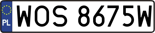 WOS8675W