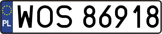 WOS86918
