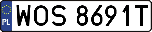 WOS8691T