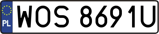WOS8691U