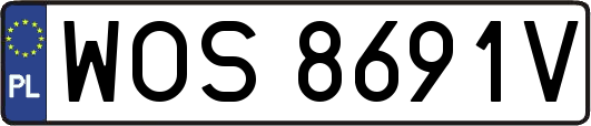 WOS8691V
