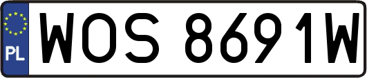 WOS8691W