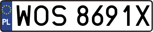 WOS8691X