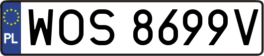 WOS8699V