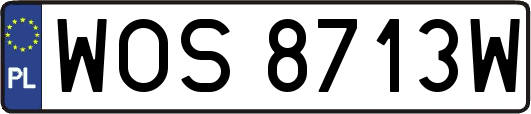 WOS8713W