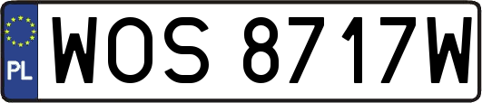 WOS8717W