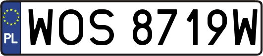 WOS8719W