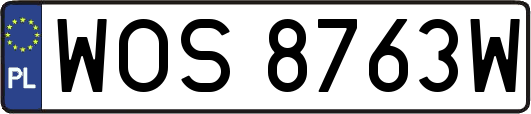 WOS8763W