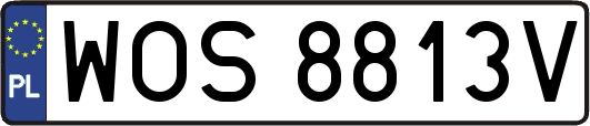 WOS8813V
