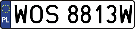 WOS8813W