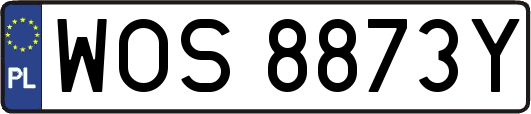 WOS8873Y
