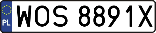 WOS8891X