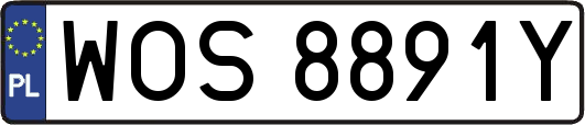 WOS8891Y