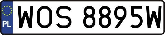 WOS8895W