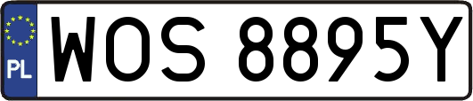 WOS8895Y