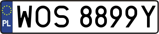 WOS8899Y