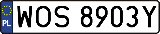 WOS8903Y