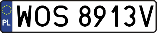 WOS8913V
