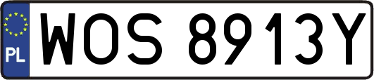 WOS8913Y