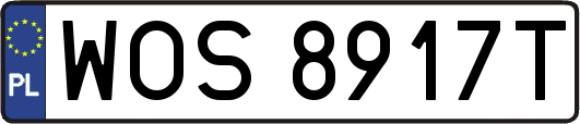 WOS8917T