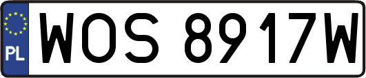 WOS8917W