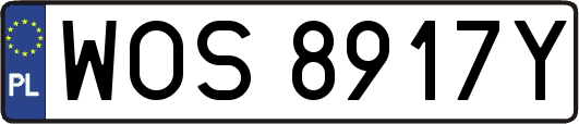 WOS8917Y