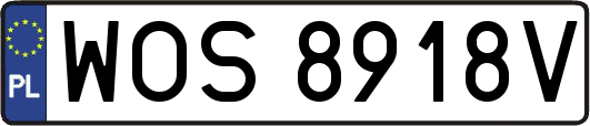 WOS8918V