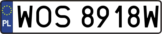 WOS8918W