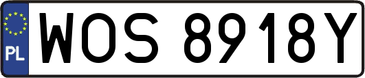 WOS8918Y