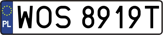 WOS8919T