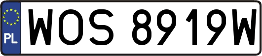 WOS8919W