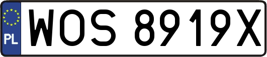 WOS8919X