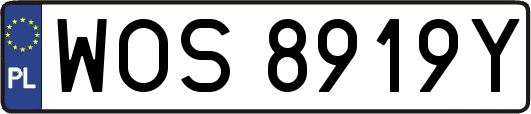 WOS8919Y