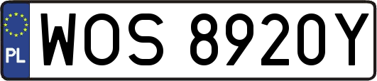 WOS8920Y